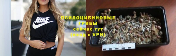 альфа пвп Краснотурьинск