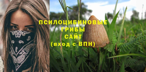 ECSTASY Кулебаки