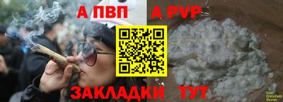 сатива Краснознаменск