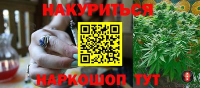 сатива Краснознаменск