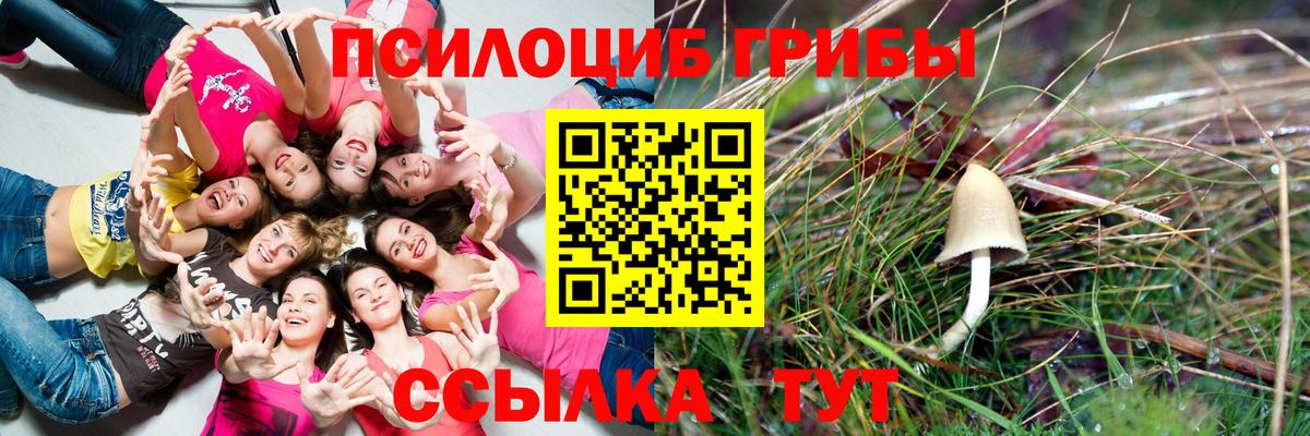 Галлюциногенные грибы прущие грибы Ханты-Мансийск